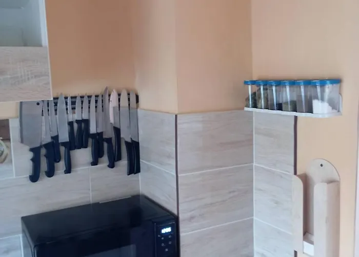 Steg Vendeghaz Apartment Szigetszentmarton